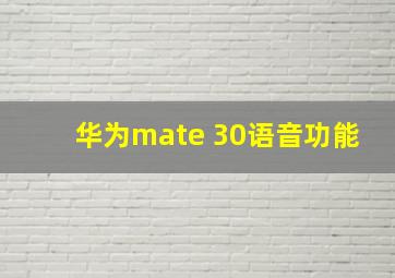 华为mate 30语音功能